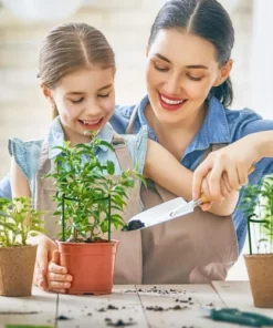 Garden Plant Support Stake