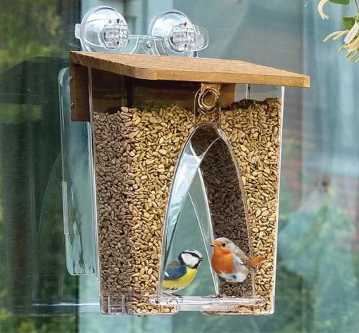 Arch Window Bird Feeder
