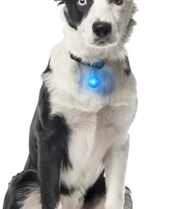 Negative Ion Electromagnetic Pet Pendant