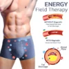 MAGEFT Energy Field Therapy Men Pants