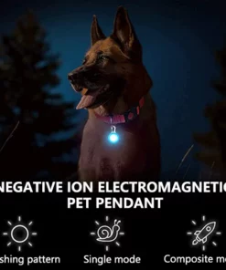 Alternative view of Negative Ion Electromagnetic Pet Pendant