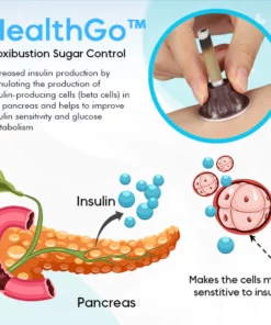 Alternative view of HealthGo™ Moxibustion Sugar Control