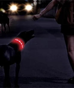 Pethouse Negative Ion Infrared Pet Electromagnetic Physiotherapy Collar