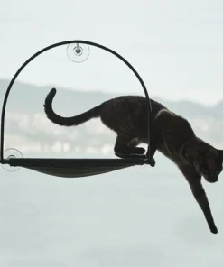 Cloud Nine Window Hammock