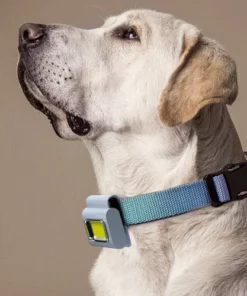 Magnetic Cob Work Light