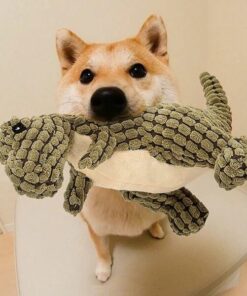 Alternative view of Indestructible Robust Dino