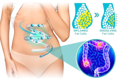 GFOUK™ Microcurrent Cryolipolysis Mini masaje-gailua - 7. irudia