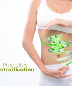 Alternative view of Oveallgo HerbalFirm PURI Cellulite Reduction Patches