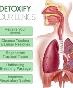 Alternative view of Purify HerbalLung Cleansing DetoxRings