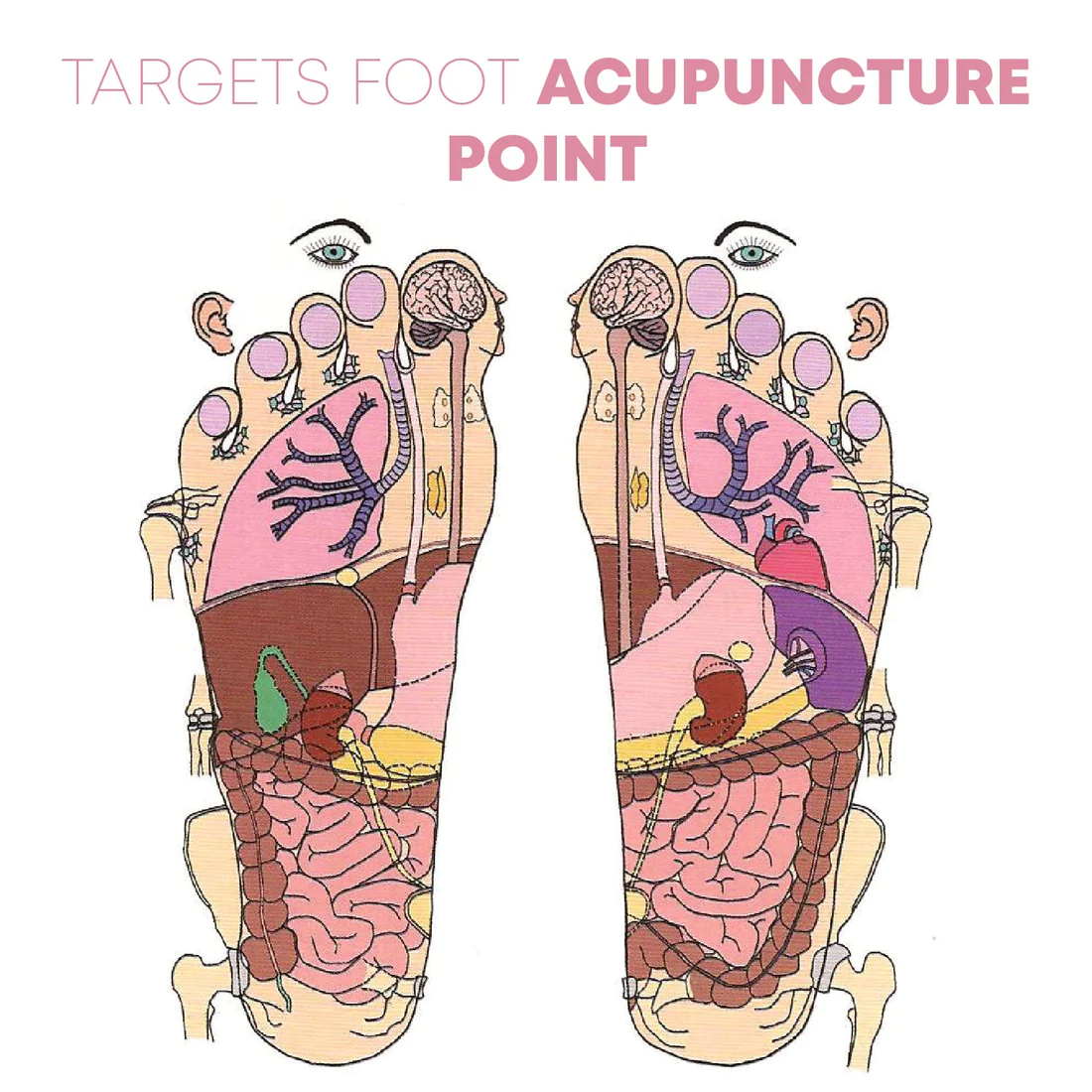 TENS AcupointTheropie SlimMassager Mat