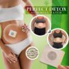 Dr.Pro™ Herbal Slimming Patch