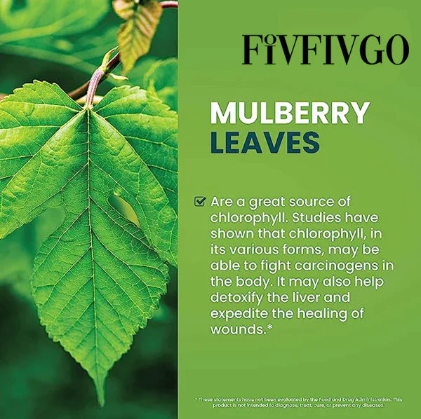 Fivfivgo Chlorophyll Liquid Natural Detox & Blood Sugar Support Drops