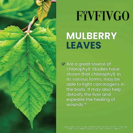 Fivfivgo™ Chlorophyll Liquid Natürliche Detox- en Blutzucker-Unterstützungstropfen - Image 6