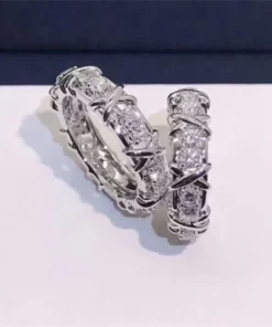 Oveallgo™Magnetology Moissanite Diamond Ring