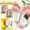 Ginger Detox Foot Patches (Pack Of 10)