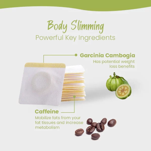 Ceoerty™ Detox Slimming Patch - Image 3