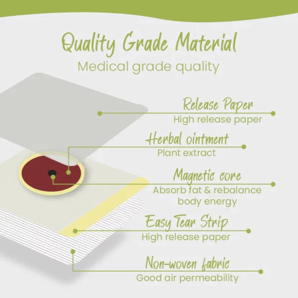 Ceoerty™ Detox Slimming Patch - Image 5