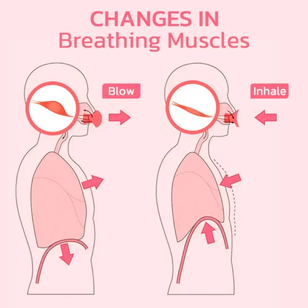 flysmus V Face Suction Beauty Trainer