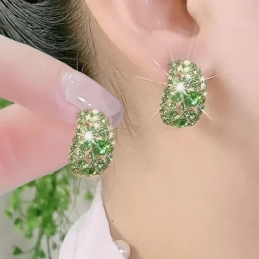 Diamonds Hoop Detoxi Earrings