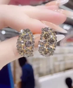 Diamonds Hoop Detoxi Earrings