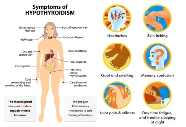Bluesky™ Thyroblend Multifunctional Therapy Patch - Image 7