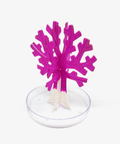 Alternative view of Magic Growing Tree