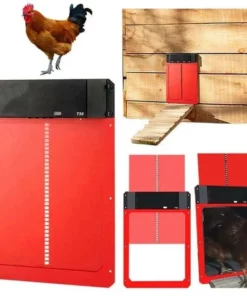 Automatic Chicken Coop Door