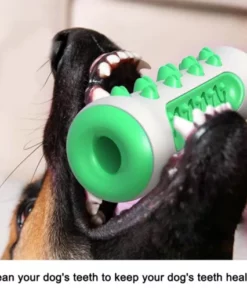 Dog Molar Toy
