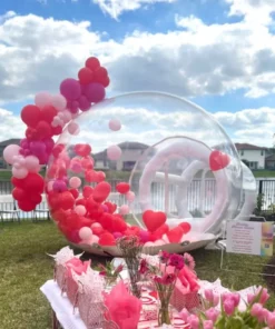 Inflatable Bubble House