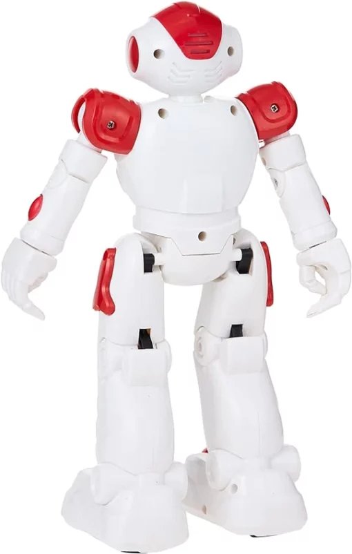 Mai hankali Roboter mit Gestenerkennung - Hoto 4