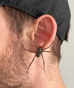 The Giant Spider Earring