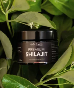 Alternative view of Premium Shilajit (Mumijo) Resin