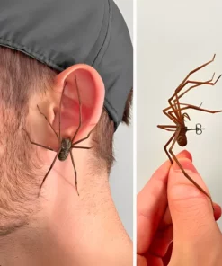 The Giant Spider Earring