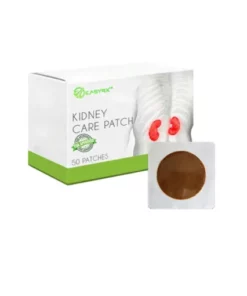 Morning Light Multi-Functional Kidney Care Patch