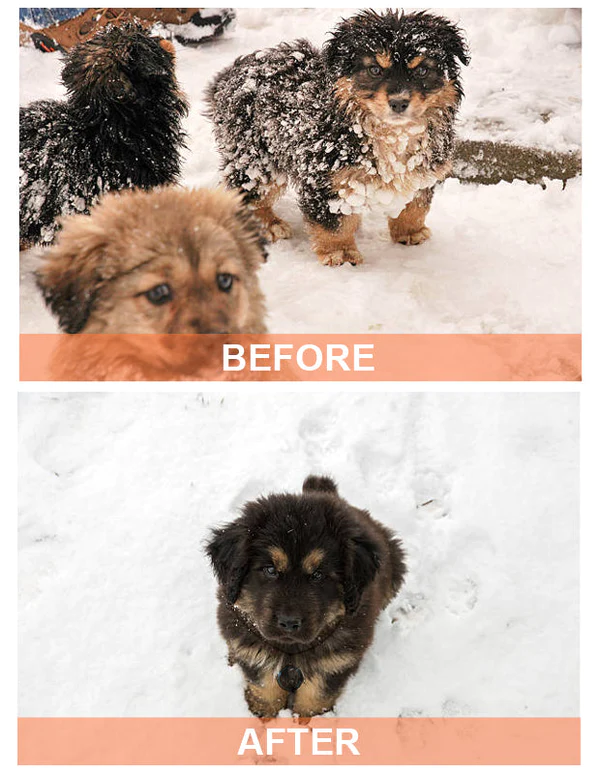 GFOUK Thermal Energy Molecular Necklace