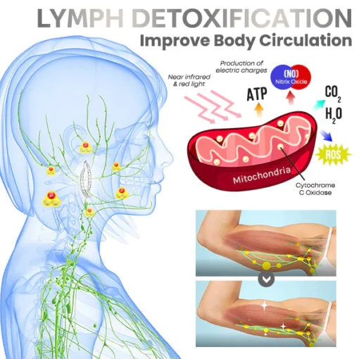 Liascy Lymphatech Gemslim CurvedCross Earrings
