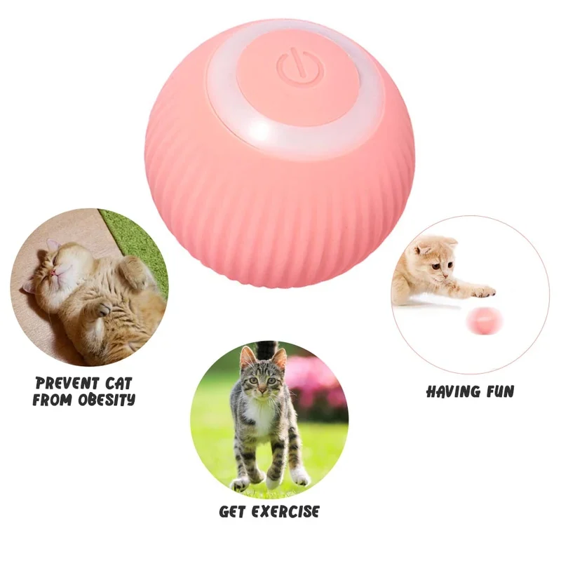 2 in 1 Simulated Interactive hunting cat toy