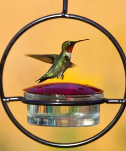 Hummble Slim Hummingbird Feeder