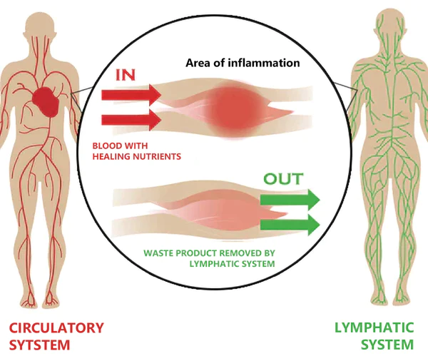 Sugoola Tourmaline Slimming Foot Mat