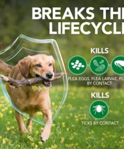 Alternative view of Kepvp™ Ultrasonic Pet Worming Instrument