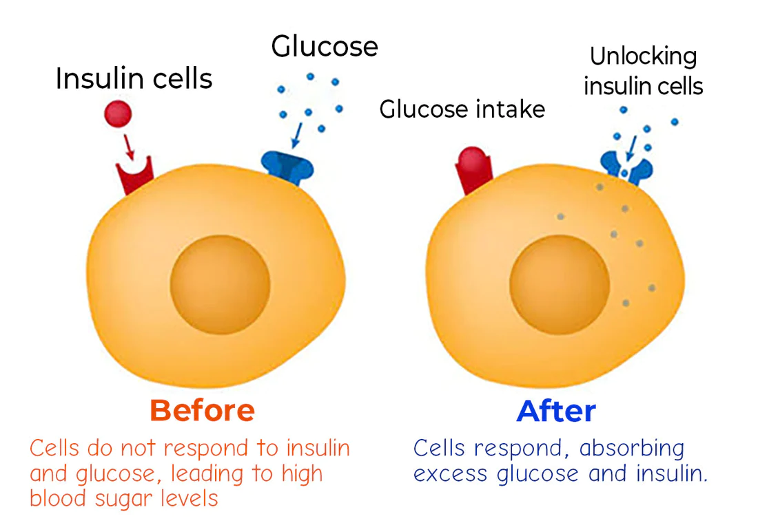Futusly Blood Sugar Regulation Medical Health Wristband