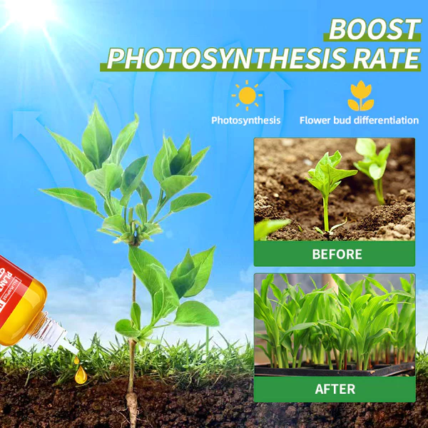 [Experts recommend] COROU HyperGrowth-Pro Plant Growth Hormone