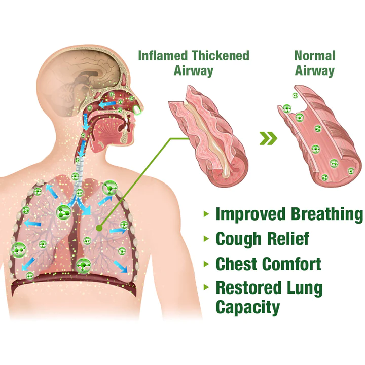 KISSHI BreathePure Respiratory Cleansing Herbal Nasal Device