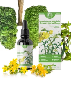 Alternative view of BREATHE-RIGHT DENDROBIUM & MULLEIN EXTRACT: POWERFUL LUNG SUPPORT CLEANSE & RESPIRATORY