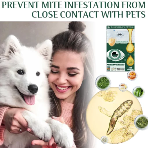 Fivfivgo™ Tea Tree Terpineol Wipes foar it fuortheljen fan oogmyten - ôfbylding 6