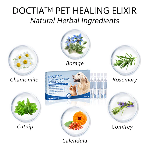 DOCTIA™ Rechargeable Steam Pet Healing Elixir Brush - Made in the USA - Herbal Products - Pet Safe - Image 12