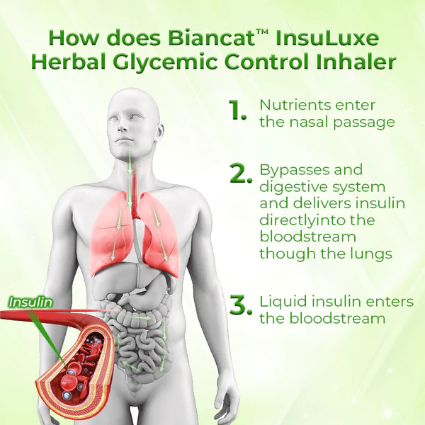 Biancat InsuLuxe Herbal Glycemic Control Inhaler