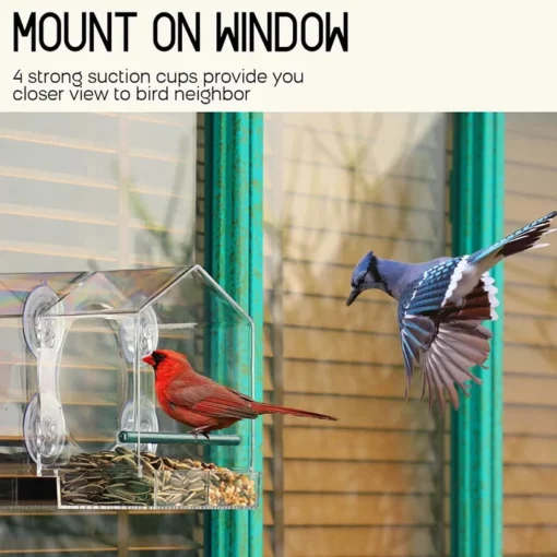 Window Bird Feeder