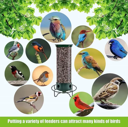 Squirrel-Proof Bird Feeder - Image 6