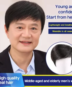 Business Natural And Realistic Full Wig For Medium-elderly Men